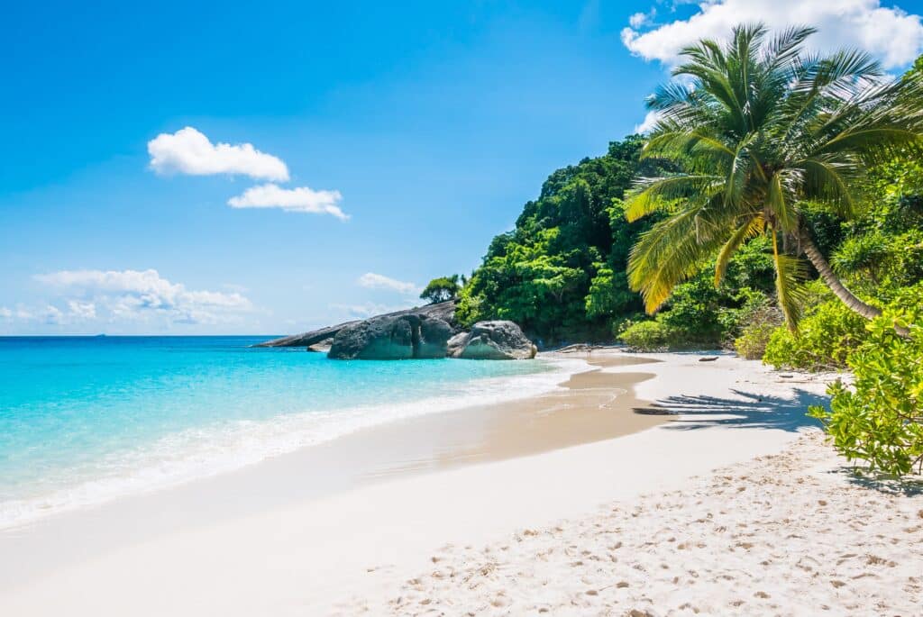 A view of Pirate's Bay beach, for our pirate-themed escape room in Ahmedabad.
caption: Welcome to Pirate's Bay.
