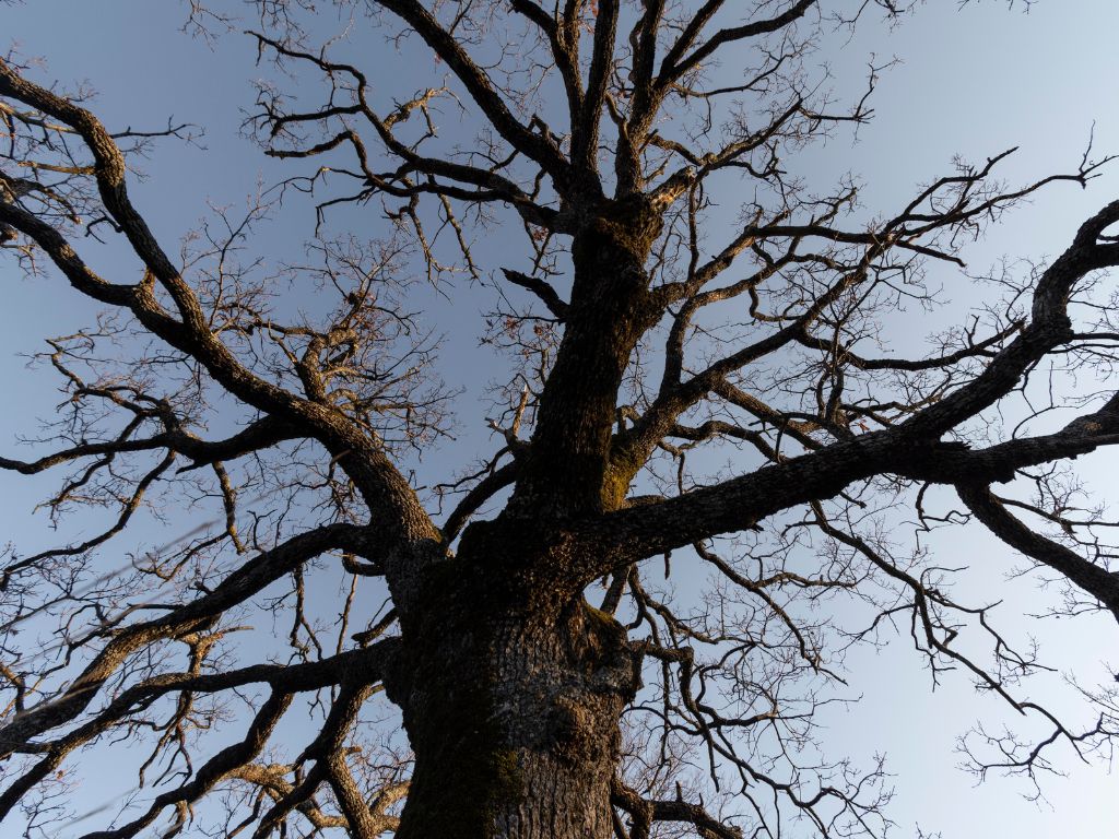 haunted destinations in ahmedabad